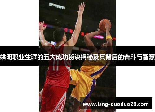 姚明职业生涯的五大成功秘诀揭秘及其背后的奋斗与智慧